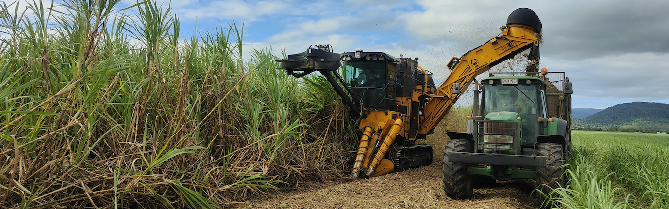 LiuGong Sugarcane Harvester